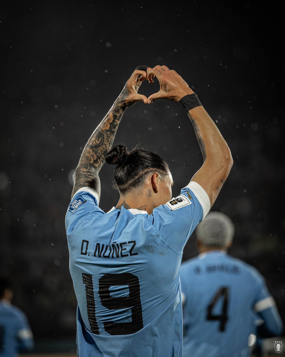 🐆 𝗜𝗡𝗧𝗥𝗔𝗧𝗔𝗕𝗟𝗘

Darwin Núñez, otra vez él. 

#ElEquipoQueNosUne