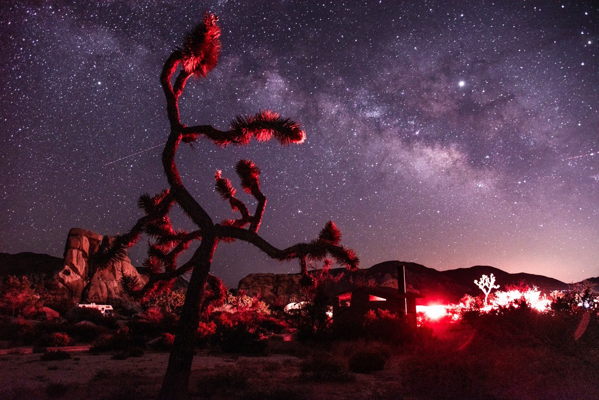 GeneralTirePros's tweet photo. The best part of desert road trips - the night sky view. 🌃 https://t.co/0RN5NA8Vuf