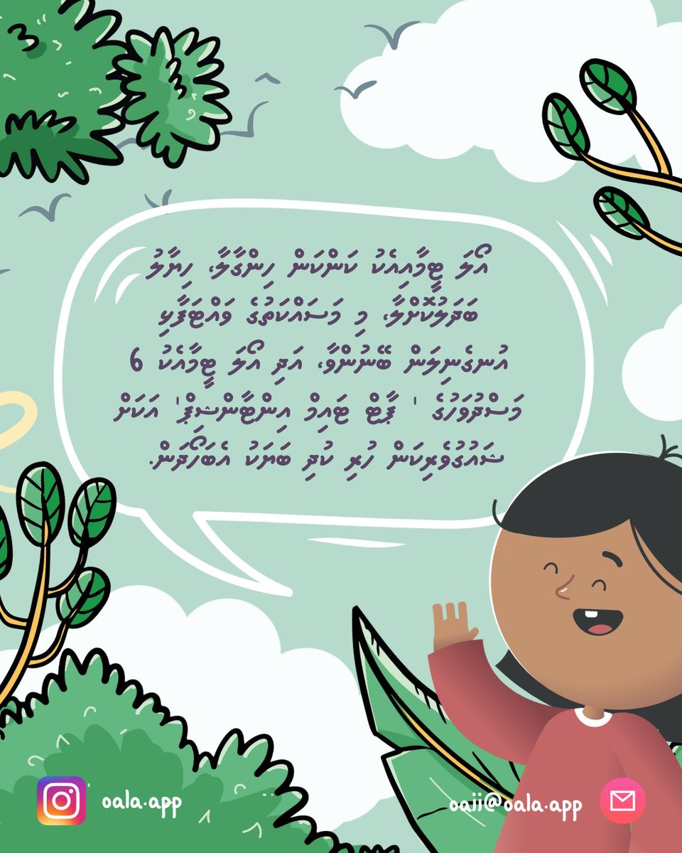 އޯލަ tweet media