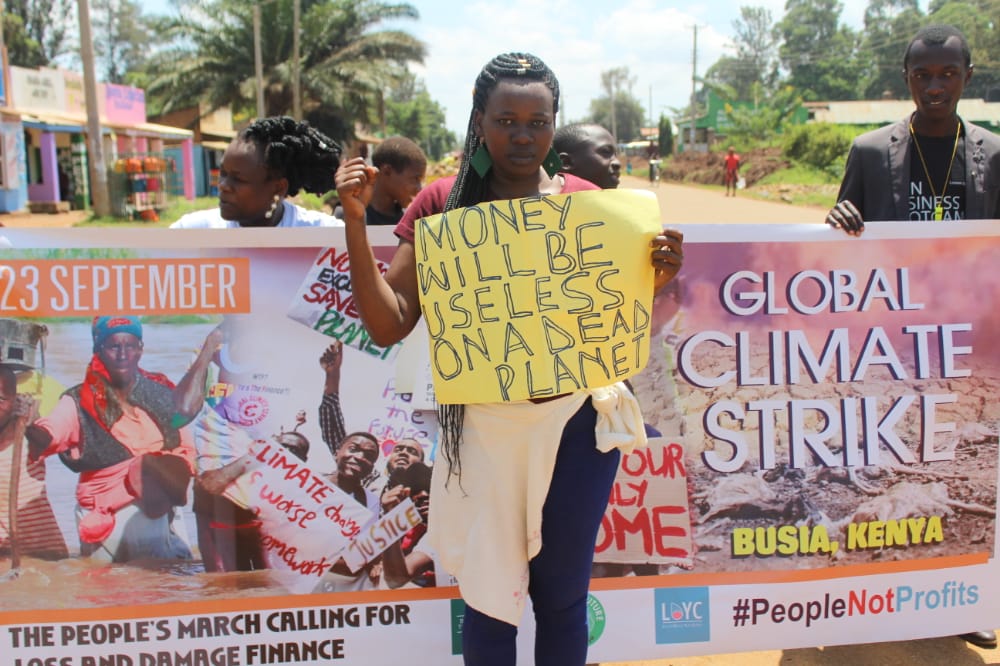 Greenpeace Africa tweet media