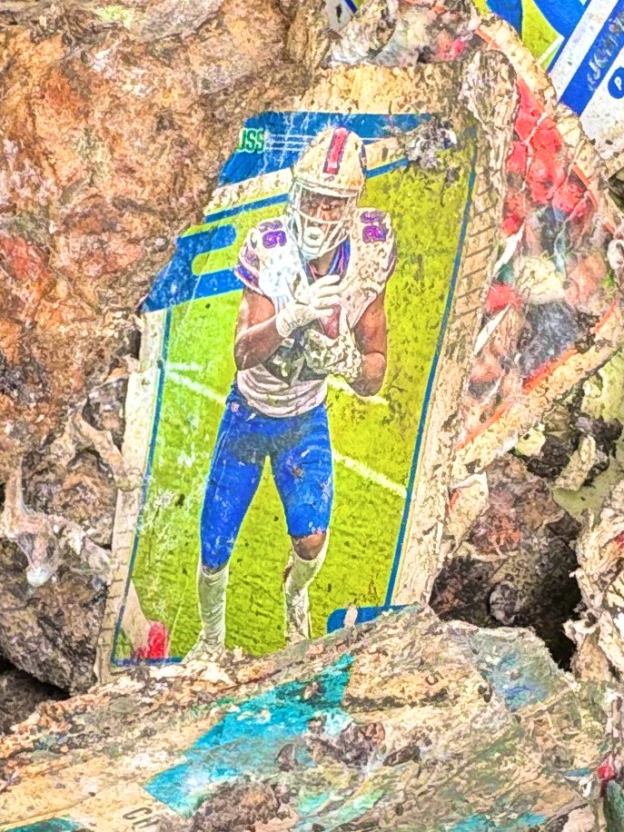 CompostingCards's tweet image. I spy a Devin Singletary.
#Compost #TheHobby 
@motorsingletary