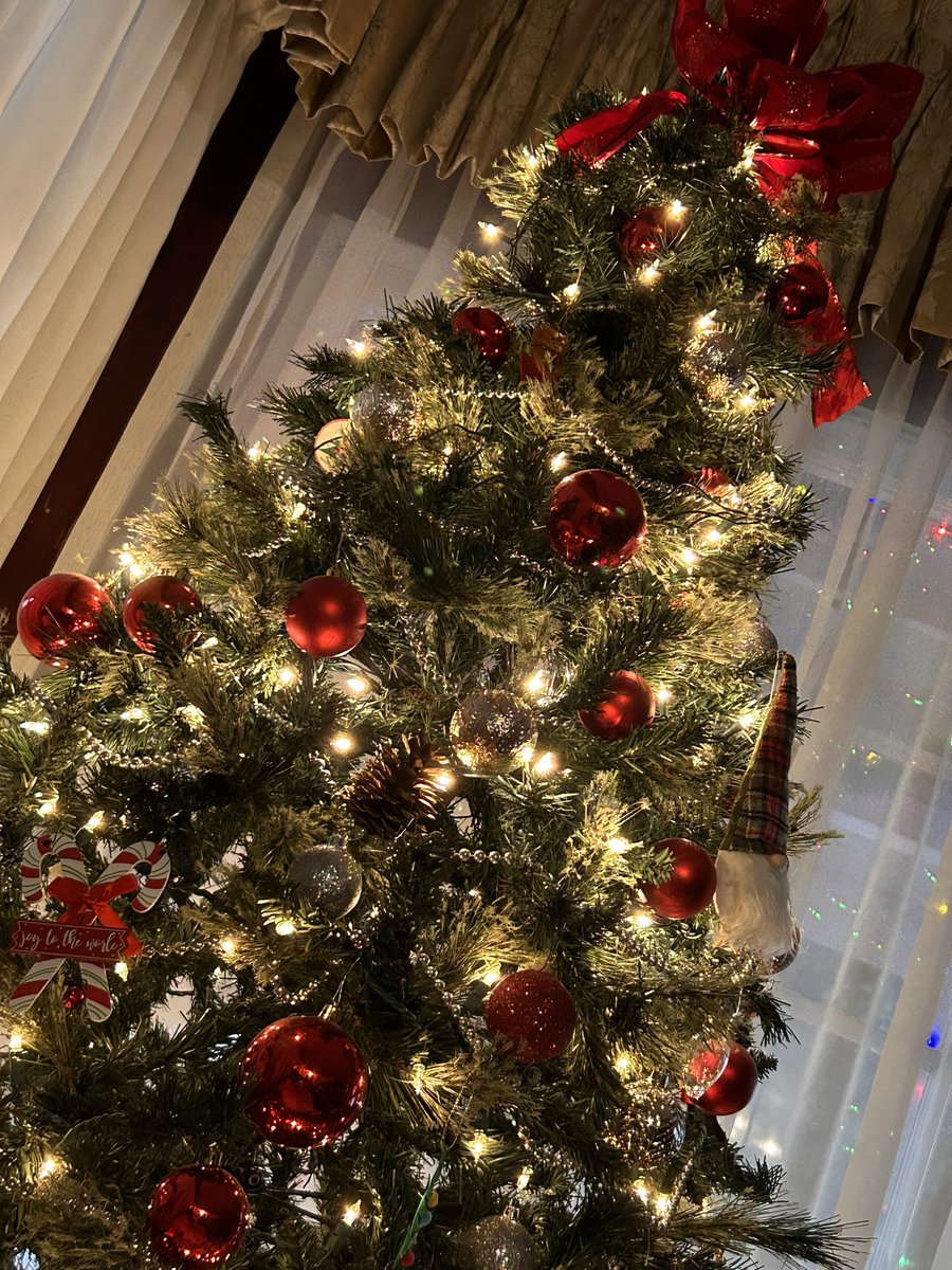 Ya #hueleanavidad en la casa de los #Legarreta
#navidad #Christmas2023