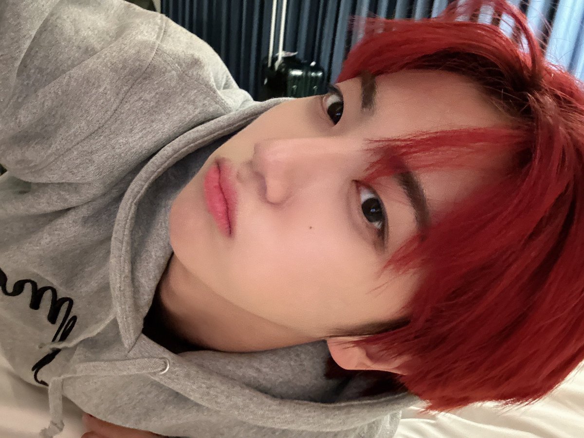 톨 tweet media