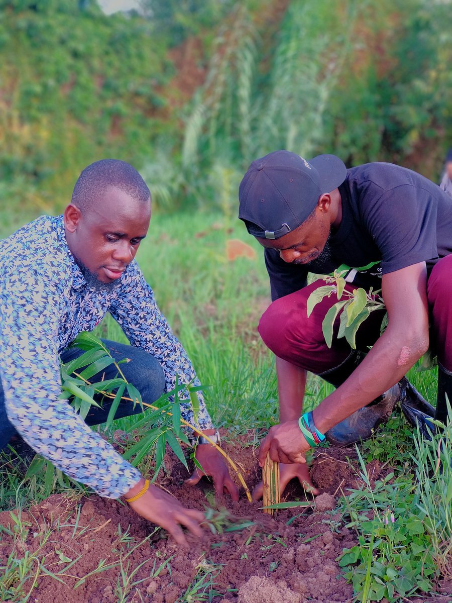 People. Planet. Prosperity You cannot protect the environment unless you empower people, you inform them, and you help them understand that these resources are their own, that they must protect them ~Wangari Maathai #GenerationRestoration #TogetherForOurPlanet