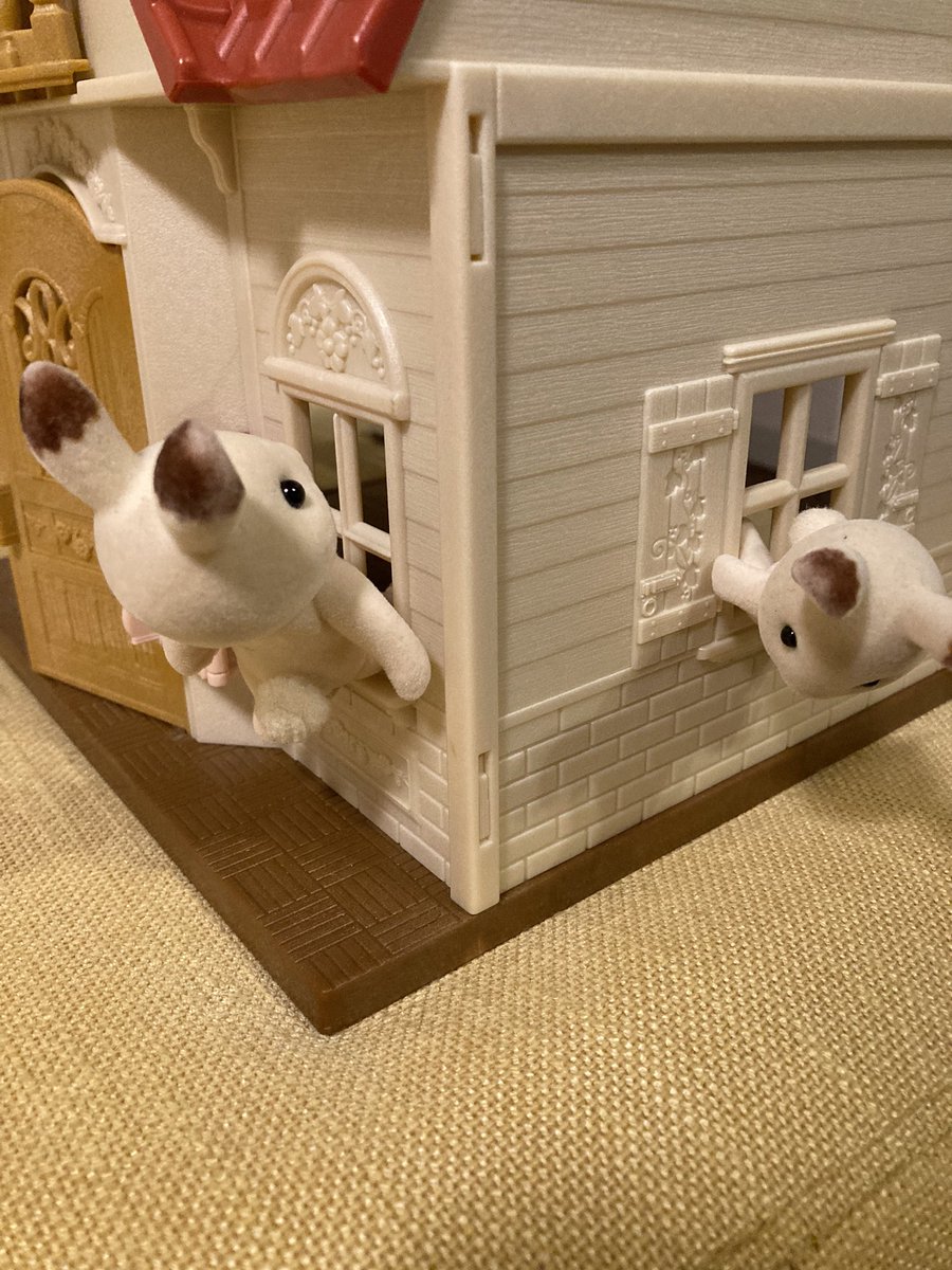 こわい。
#ウチのシルバニア