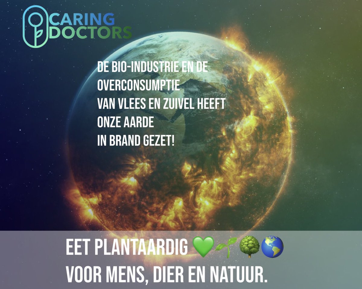 CaringDoctors's tweet photo. In een hoofdzakelijk plantaardig voedselsysteem is er minder gezondheidsschade door welvaartsziekten, veel minder milieuschade en meer voedselveiligheid voor tien miljard mensen. Stem progressief. #stemplaneet https://t.co/56BCuwNklv