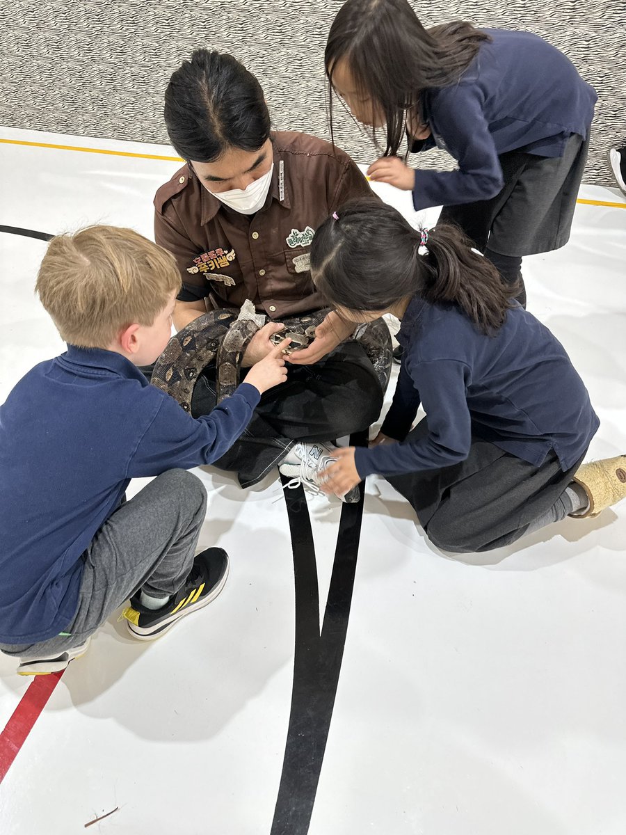 Seoul Foreign British School tweet media