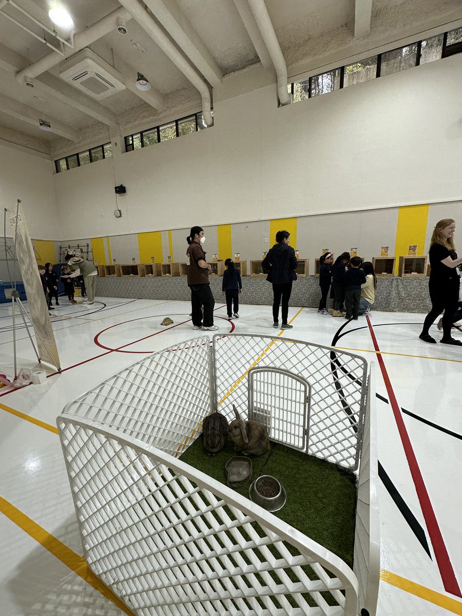 Seoul Foreign British School tweet media