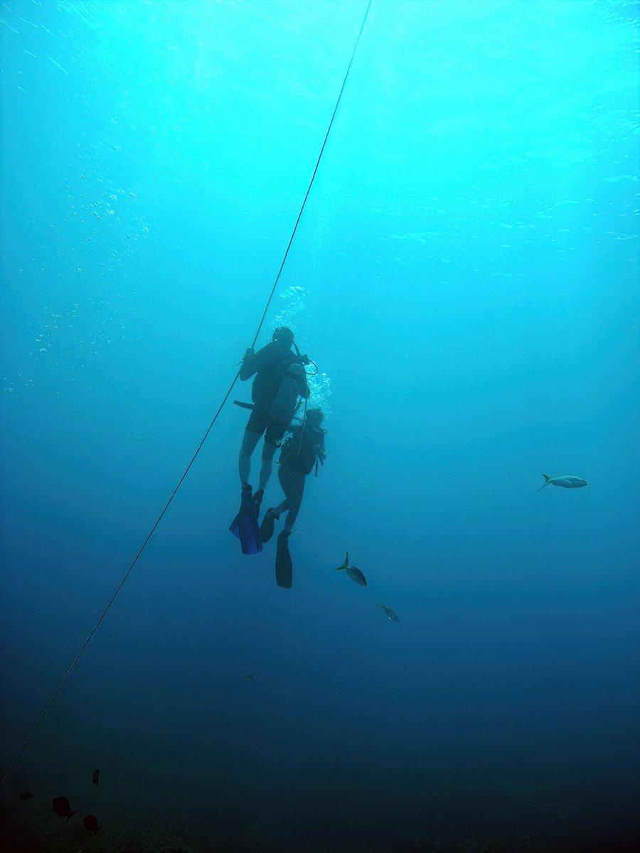 QT with your blue art