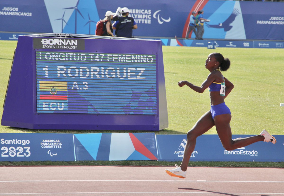 Sebastián Palacios tweet media