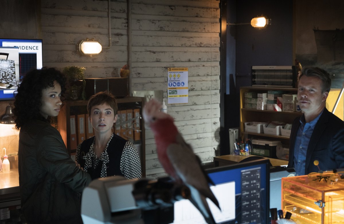 The NCISverse tweet media