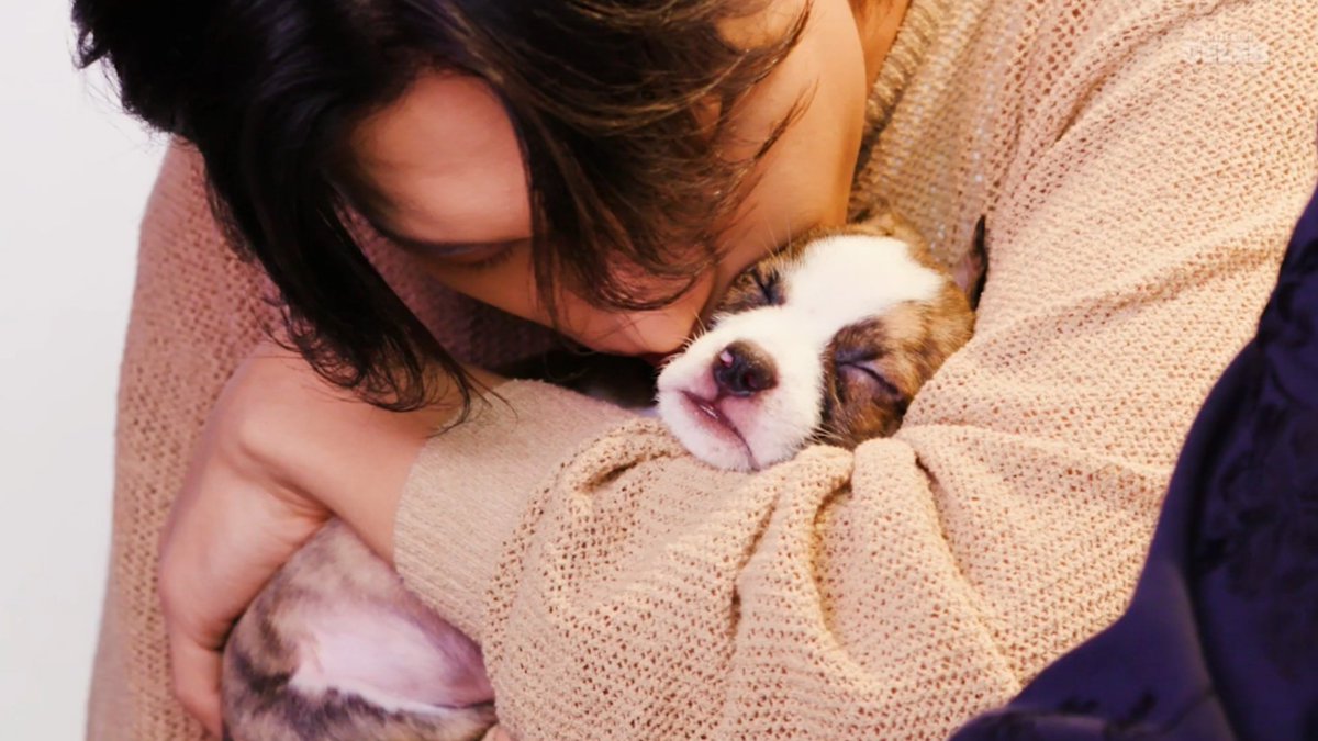 etherealsanie's tweet image. As if the 9 min video wasn't devastating enough they included a close-up shot of Wooyoung giving the puppy that was peacefully sleeping in his arms the entire time a gazillion kisses.