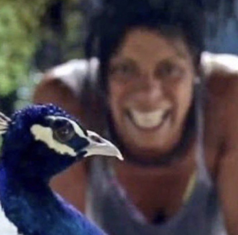 Sr Duck tweet media
