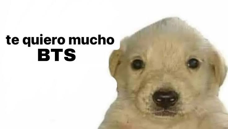 Y esperare por ustedes hasta 2025.

ARMY FOREVER BANGTAN FOREVER 
WE WILL WAIT FOR YOU BTS 
WE LOVE YOU BTS 
APOBANGPO.
<a href="/BTS_twt/">방탄소년단</a>