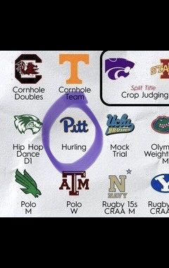 SickosCommittee's tweet photo. Pitt Hurling is going to get even stronger. https://t.co/ypac2WvdSv