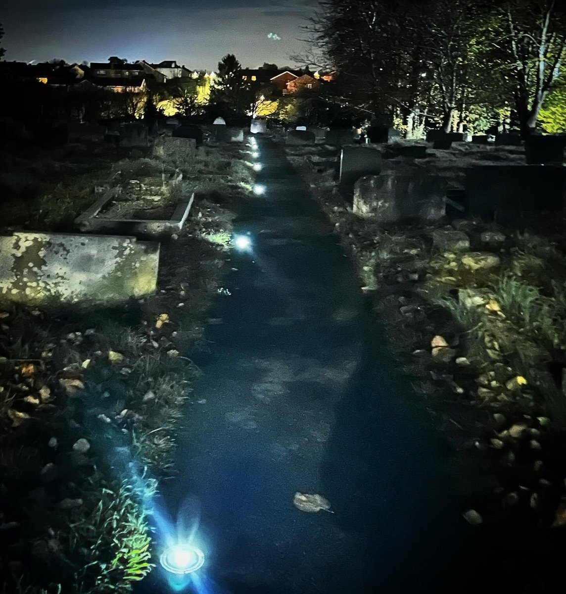 Mark Nam tweet media