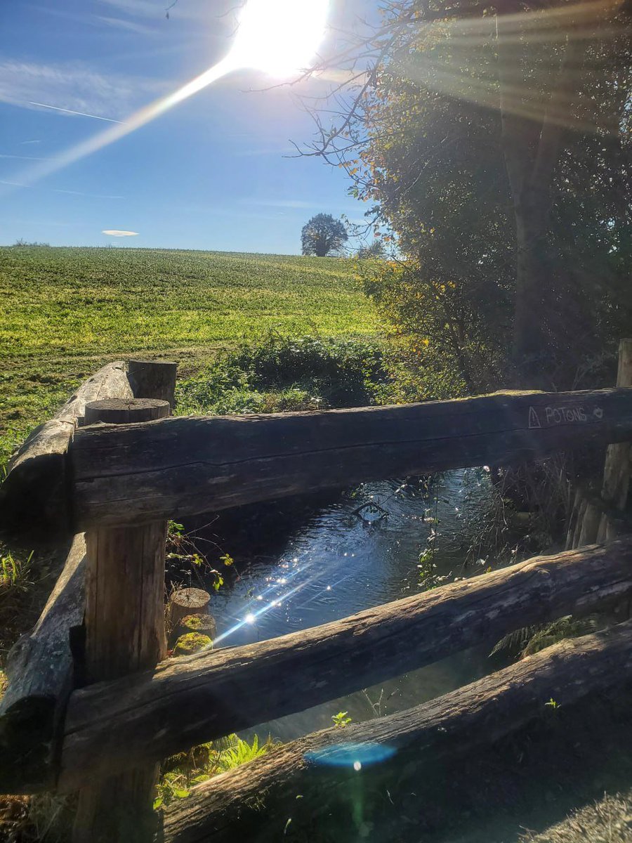 ramirezruby32's tweet image. The autumn sun gives the earth a harvest season and also gives us the opportunity to grow. When we face difficulties, don't shrink back, be as strong as the sun, fight for your dreams, and strive to become a better version of yourself.