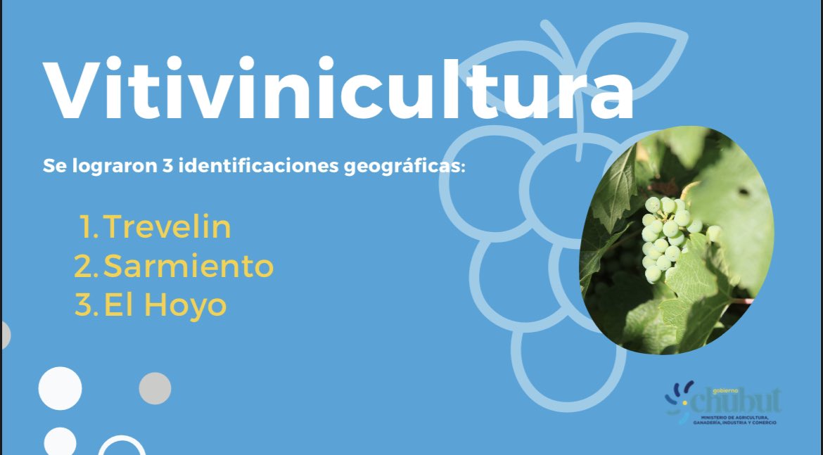 Datos de Chubut 2019-2023
Vitivinicultura: 
✅  19 nuevos destinos de exportación
✅ 14 nuevas bodegas 
✅200.000 nuevos litros producidos 
✅ 3 nuevas identificaciones geográficas: Trevelin, Sarmiento y El Hoyo