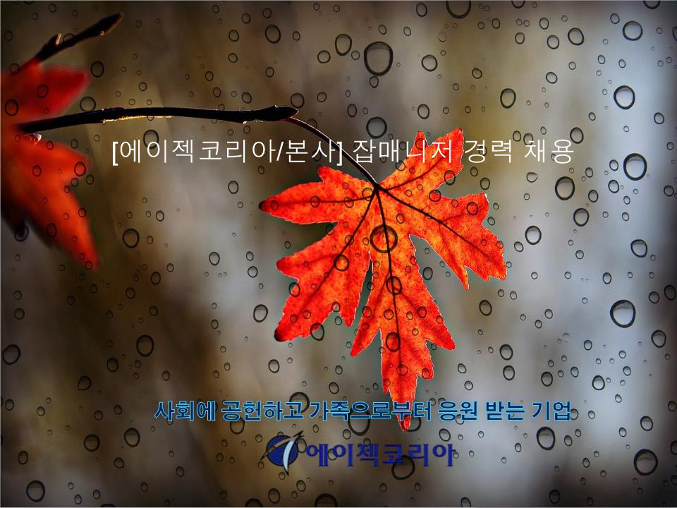 choi32321's tweet image. [에이젝코리아/본사] 잡매니저 경력 채용 (~11.29)
  
※ ingunilgu.com/work/employ_de… 

연락처:   02-6207-3909 
이메일:   s_ji@agekke.co.kr

에이젝코리아 카페 - cafe.daum.net/agekke/HD9A/418

#인사담당자 #인사행정 #인사교육 #잡매니저 #인재발굴 #정규직 #구인 #구직 #취업 #채용 #알바