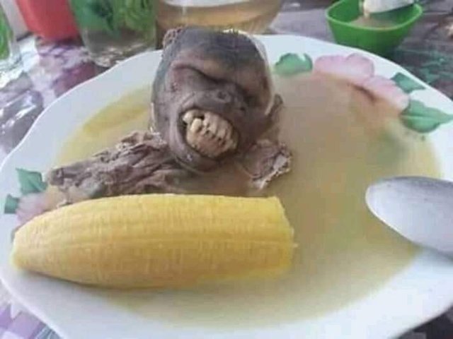 0800Cj's tweet photo. Hora de la cena, hoy se come sopa de brasilero https://t.co/Nlp0v4G61Y