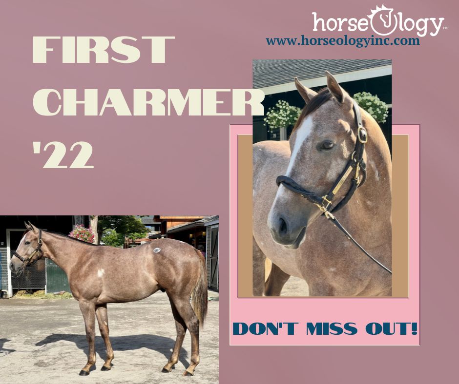 horse_ology's tweet image. First Charmer '22 is ready to CHARM YOU! Shares available - call 855-HORSIES today. More info here  👉horseologyinc.com/yearlings-avai…  👈
#yearling #pinhooking #horseology