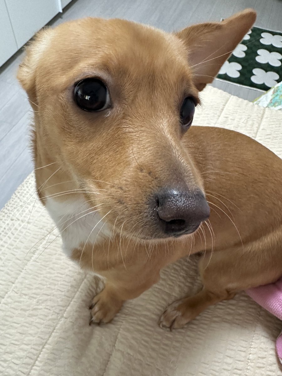 gireumee's tweet photo. 물개 https://t.co/PxJPhEjZ1K