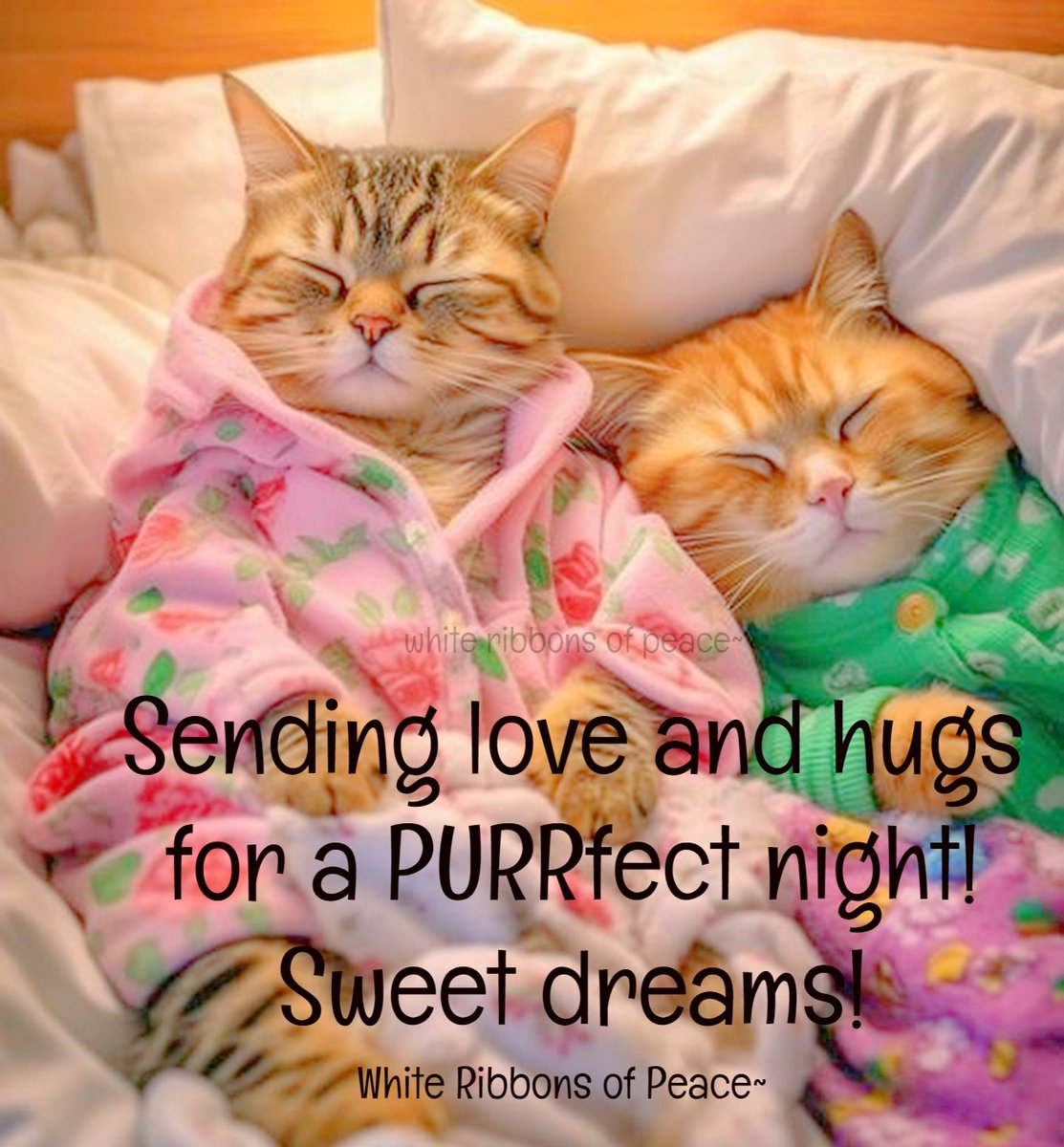 🌃Sending love and hugs for a PURRfect night! Sweet dreams! *ੈ✩‧₊˚🧡~ #Goodnight