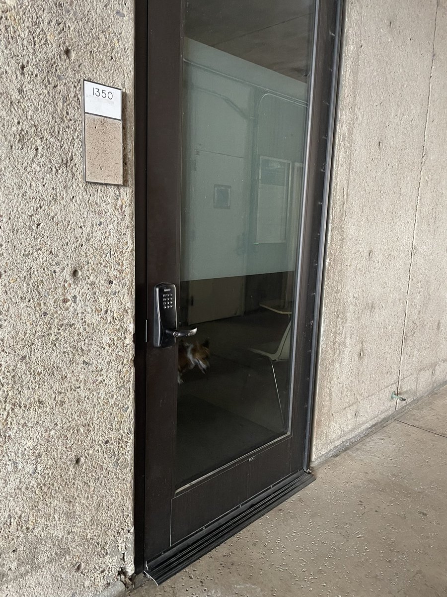 Chelsea Parlett tweet media