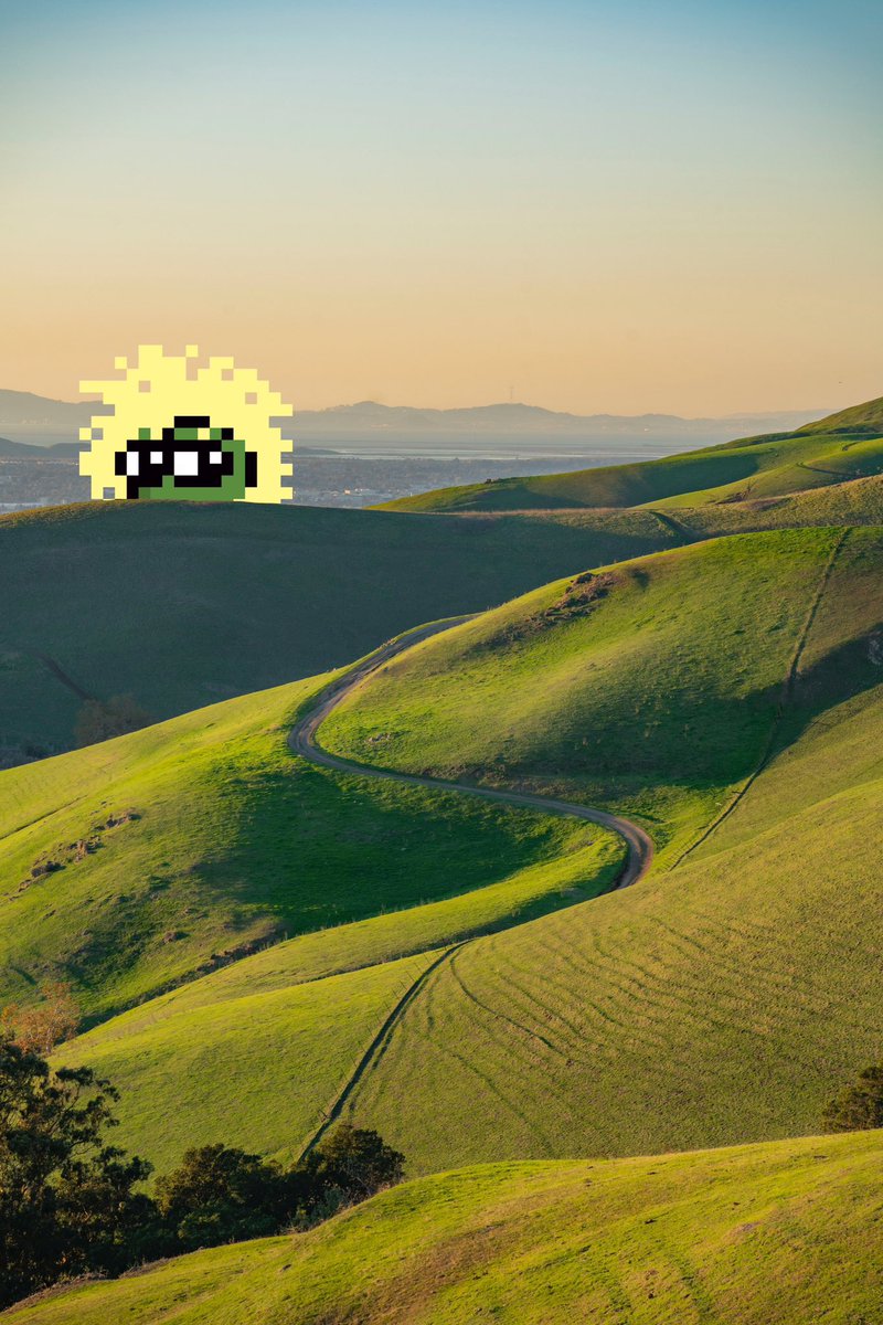 PepePhunksV2's tweet image. Not all who wander are lost. 

#Pepephunks 

🐸🪞