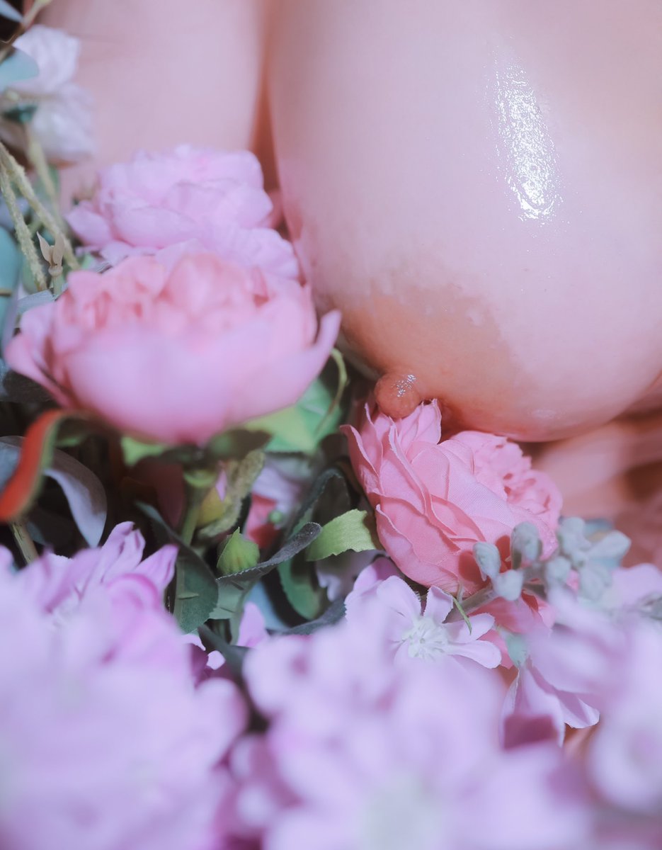 腐朽孕育着生命的气息
亦如我们早已溃烂的爱情
你是通向零碎心房的感染
也是坠落于乳沟的沉沦

你精心亲吻着
唾液粉饰温润软肉
那垂丝的花涎也试图揭穿芙丽涅的罪名
迷醉是今夜的芬芳
亦托起乳汁汇聚的清淼

最终你褪下皮囊
轻轻抽泣
将她揉进了一朵荼蘼
悄然渴望着那缕被救赎的闭环

#le #les #女同