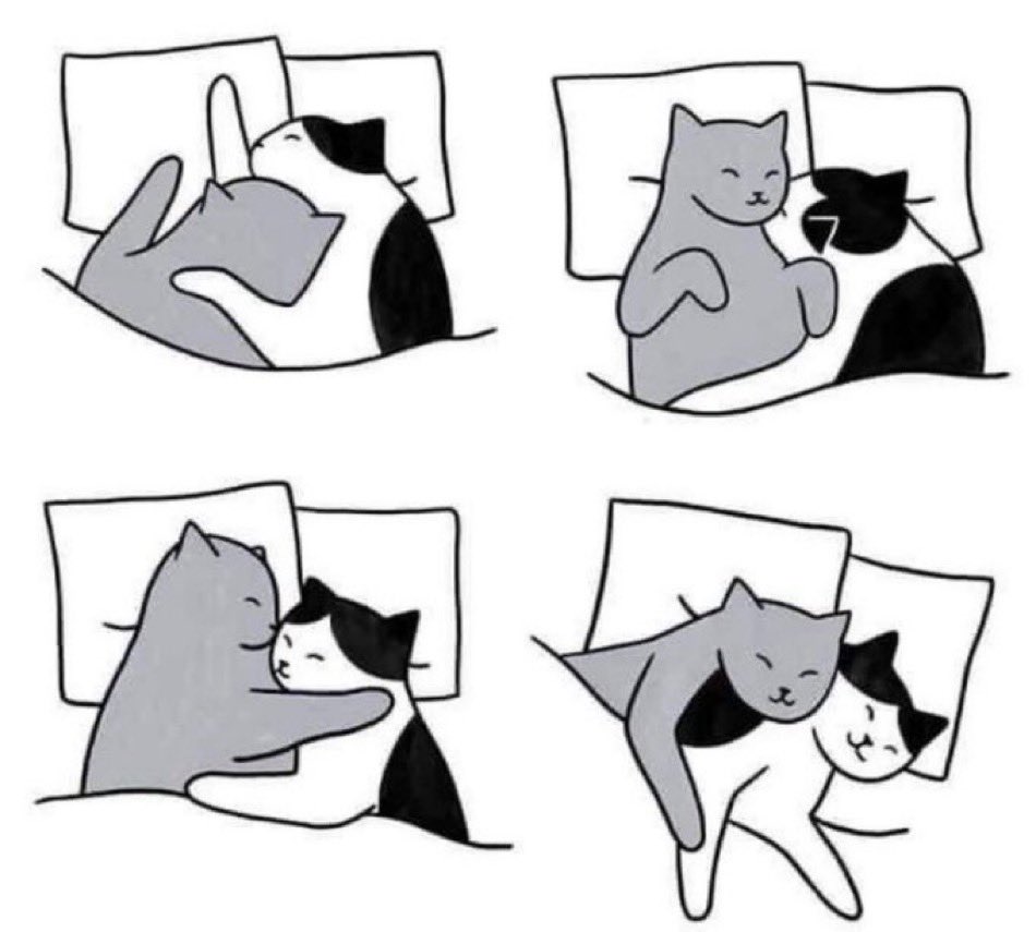 should be us