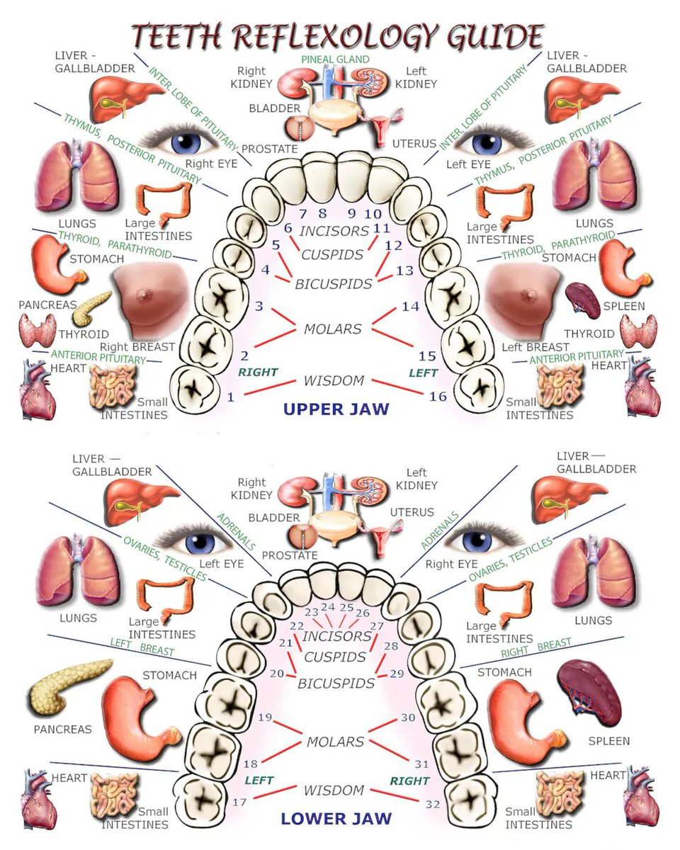 BioavailableNd tweet picture