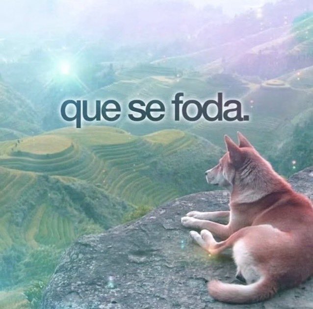 thomaz tweet media