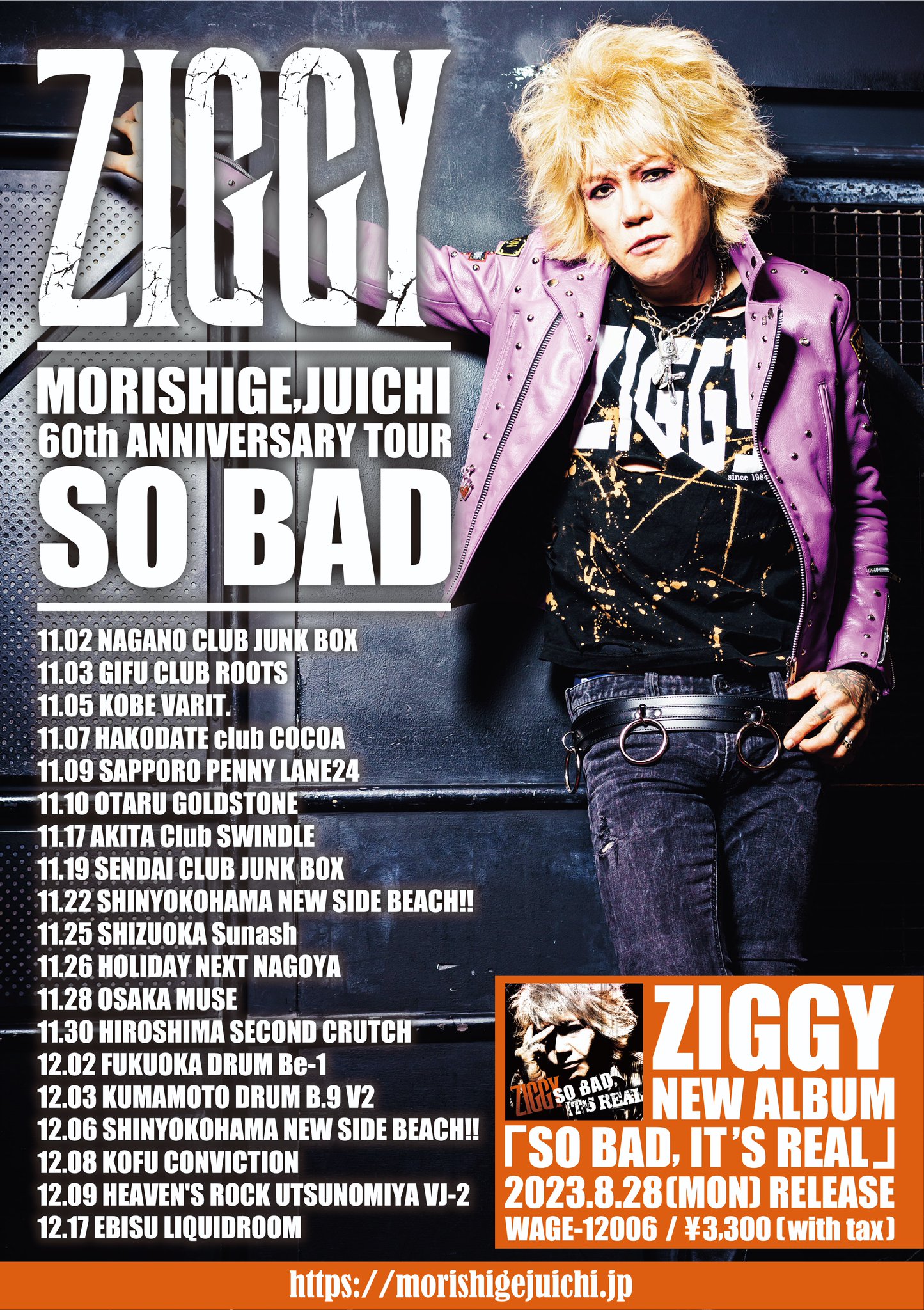 【53枚+おまけ】森重樹一/ZIGGY DVD&CD 53枚+おまけ】森重樹一/ZIGGY DVD&CD