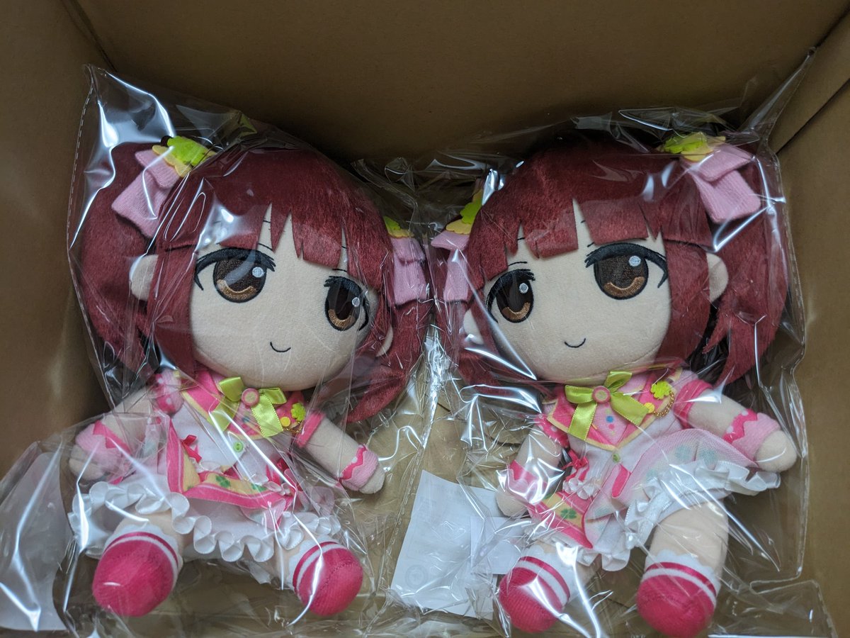 CloverMarket0's tweet photo. ふたごちゃん届いた😊
可愛すぎるよ智絵里 https://t.co/eJwOgEzBwo