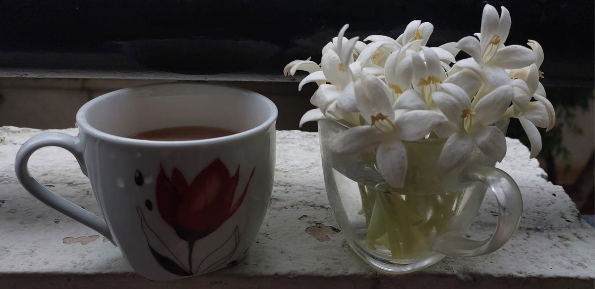 Madhumathi_Inks's tweet photo. #இயற்கைஎனும்இறை
Mornings made of tea, &amp; Maramalli... 🤎 🤍
ஒரு கோப்பை கவிதை
கொஞ்சம் தேநீர்
கொஞ்சும் மழை, மலர்கள், இசை
நீலம் சூடிய வான்
மரகதப் பூங்கொத்தாய் மரங்கள்
என்றென்றும் இவையோடு தீராக்காதல்...
#மழை #இசை #pluviophile #Rains #Nature #தேநீர் #AllThingsTea #மரமல்லி #naturelovers https://t.co/fYULoWmnGW