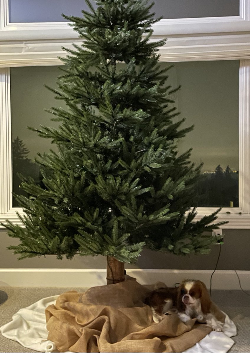 Mike Premi tweet media