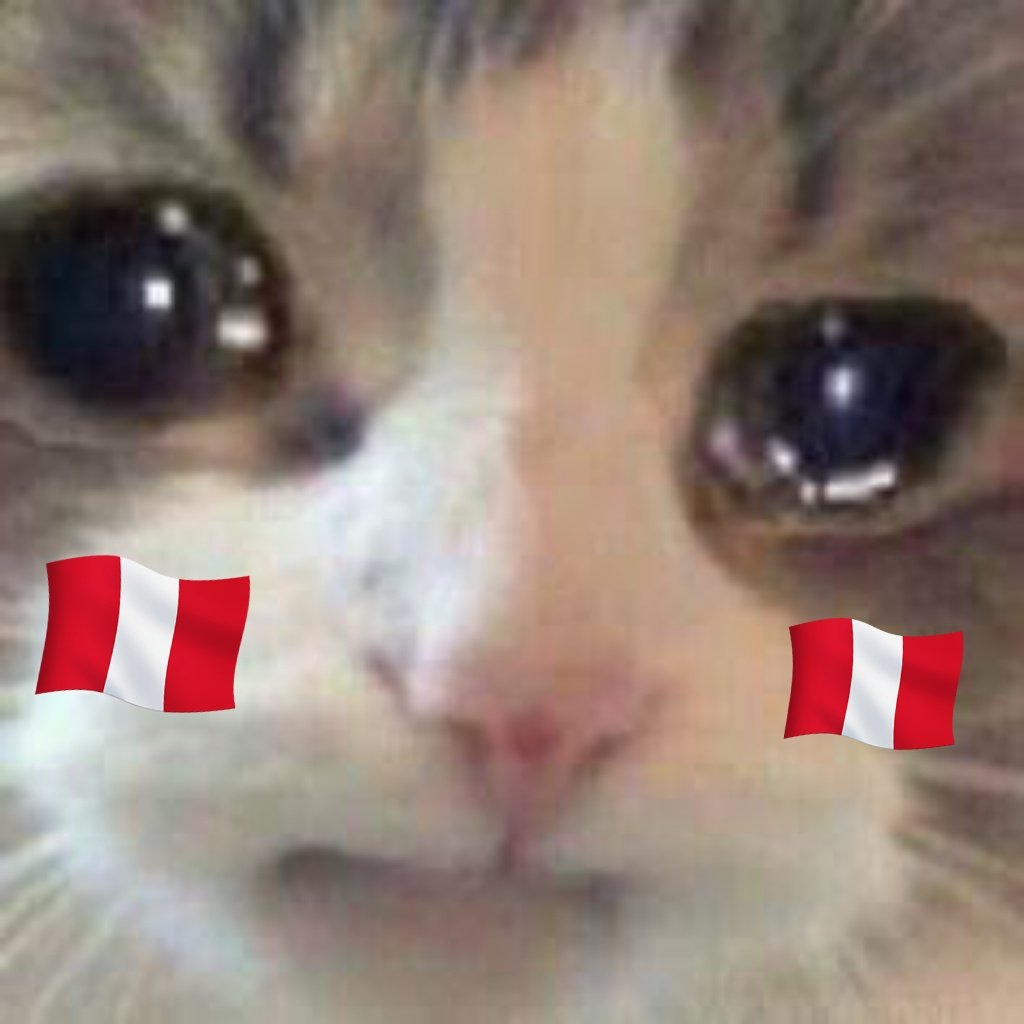 Xioipa1812's tweet photo. Al fin pude gritar un gol de Perú

#VamosPerú #Yotun #SeleccionPeruana https://t.co/iLmvxde7qe