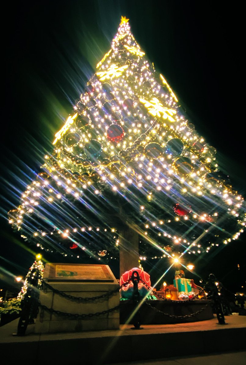 CameraMog's tweet photo. ディズニーのクリスマスは華やかでした～🎁

#カメラ初心者 
#カメラ女子 
#ディズニー https://t.co/RFjqbv5XnU