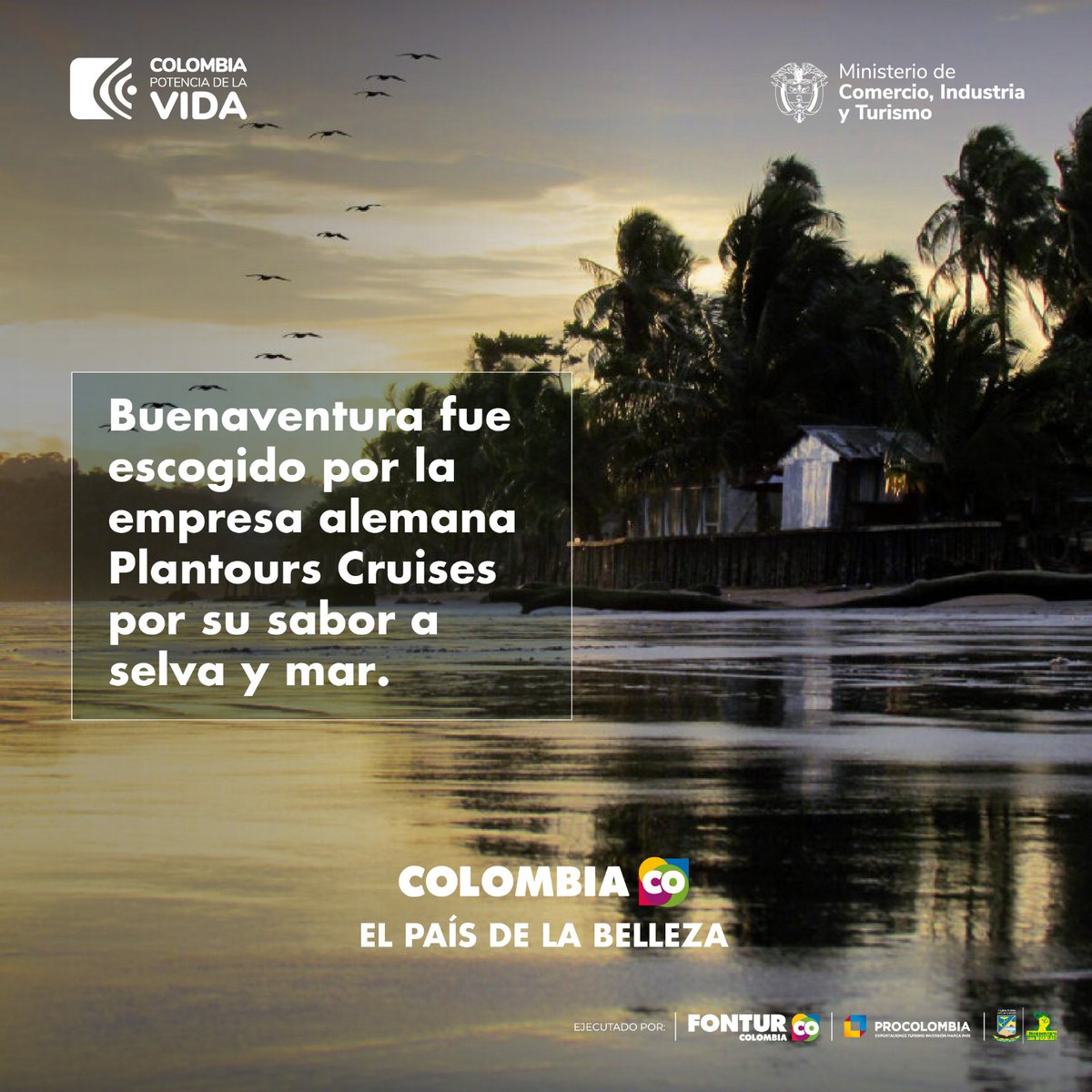 MinComercio Colombia tweet media