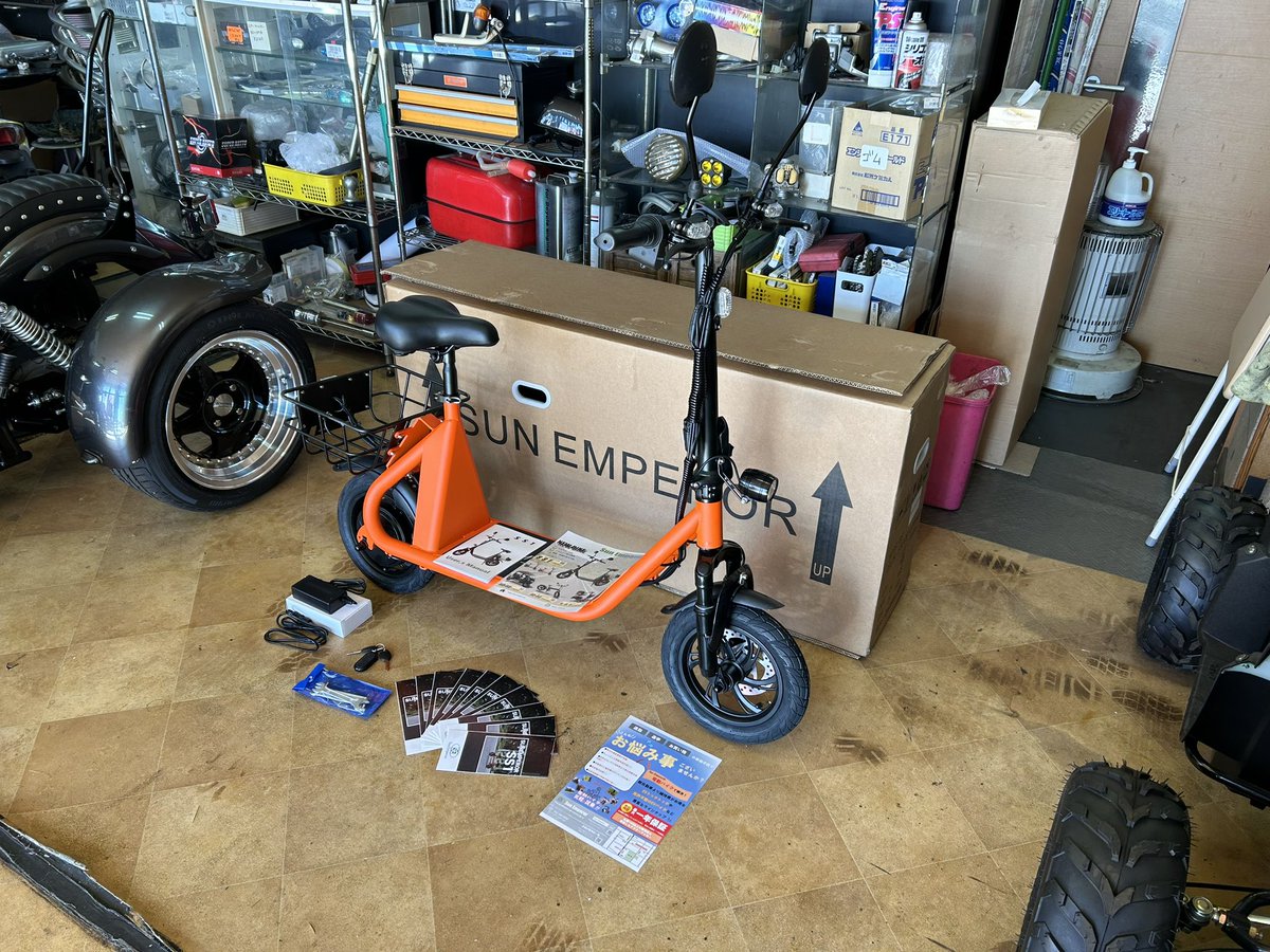 たぬき　12/15迄　関西　Sun Emperor サンエンペラー SS1 サンエンペラー