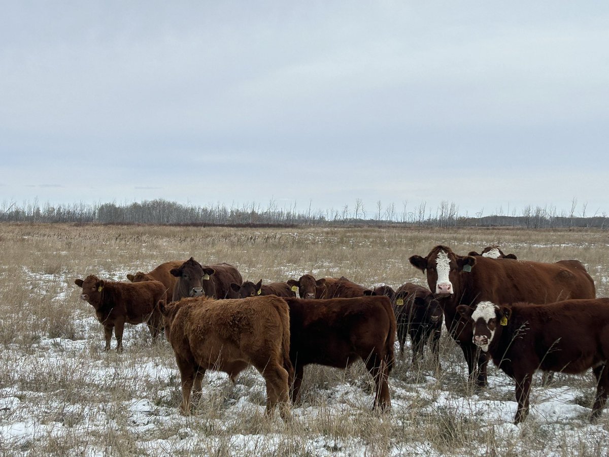 E Tyler Fulton tweet media