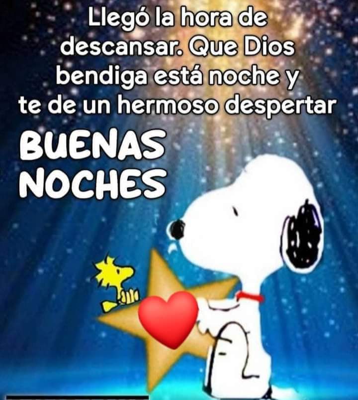 MarcelaFloresG's tweet photo. Bellos sueños https://t.co/Ax4nGR1k36