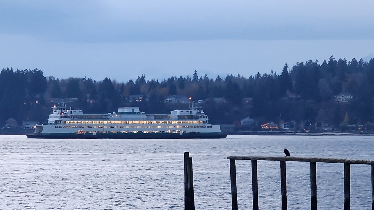 KristinLRaught's tweet image. Of course, the one time I don't take my camera with me on our sunset walk, there's an eagle on the pilings and a ferry in the background, lol.