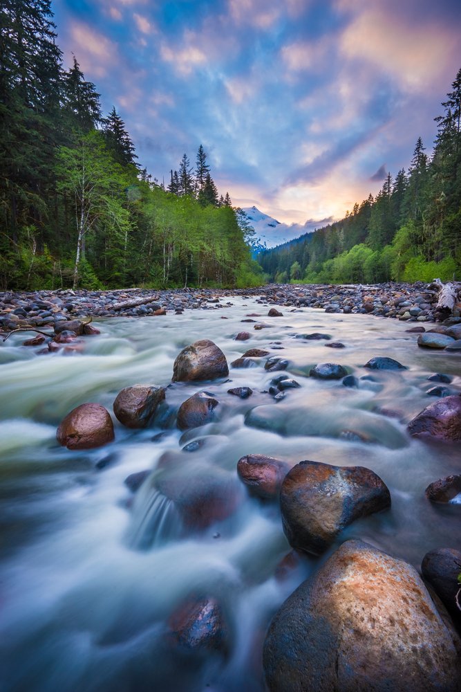 Campspot's tweet photo. 🏔️ Ready to conquer the great state of Washington? Meet your base camp at Mt Baker RV Park in Deming!
 
🥾 From hiking and biking to skiing, tubing, and wildlife watching, every day at Mt Baker RV Park is a Washington adventure!📍👉  https://t.co/3bUIv6avkk https://t.co/SsQb7TfQ2d