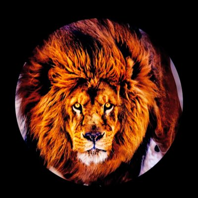 VLordMurk's tweet photo. #NewProfilePic https://t.co/CyC3AH4vBe