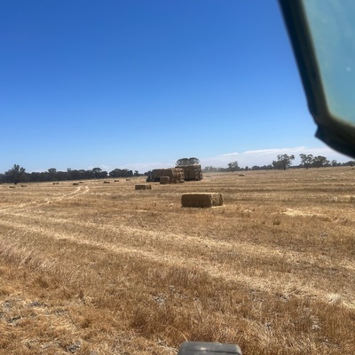 Warwick_Long's tweet photo. Country Hour listeners Angus, Bob, Peter and Rod all hard at it before forecast rain hits this week. 

The rain will threaten to put the breaks on a large harvest in Victoria. https://t.co/aW66BpU7QY