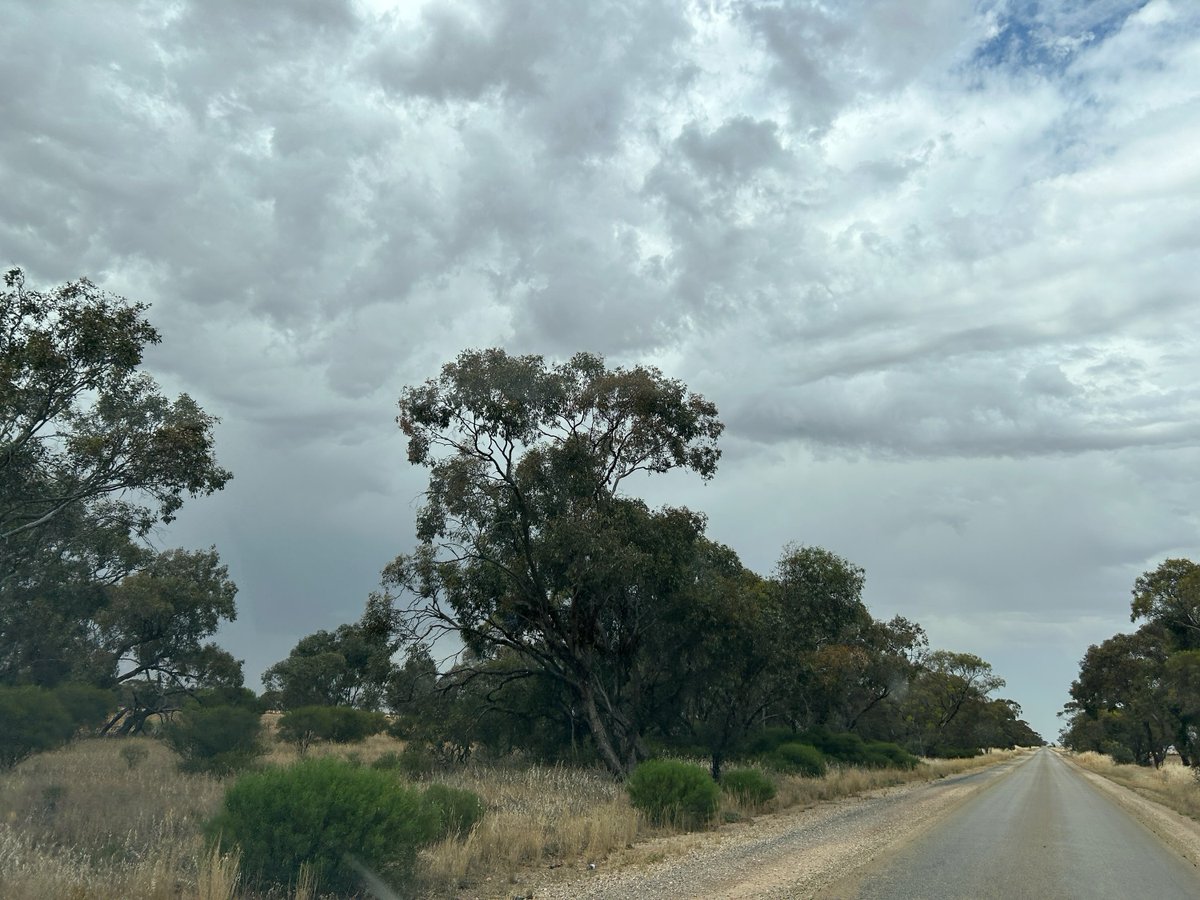 Warwick_Long's tweet photo. Country Hour listeners Angus, Bob, Peter and Rod all hard at it before forecast rain hits this week. 

The rain will threaten to put the breaks on a large harvest in Victoria. https://t.co/aW66BpU7QY
