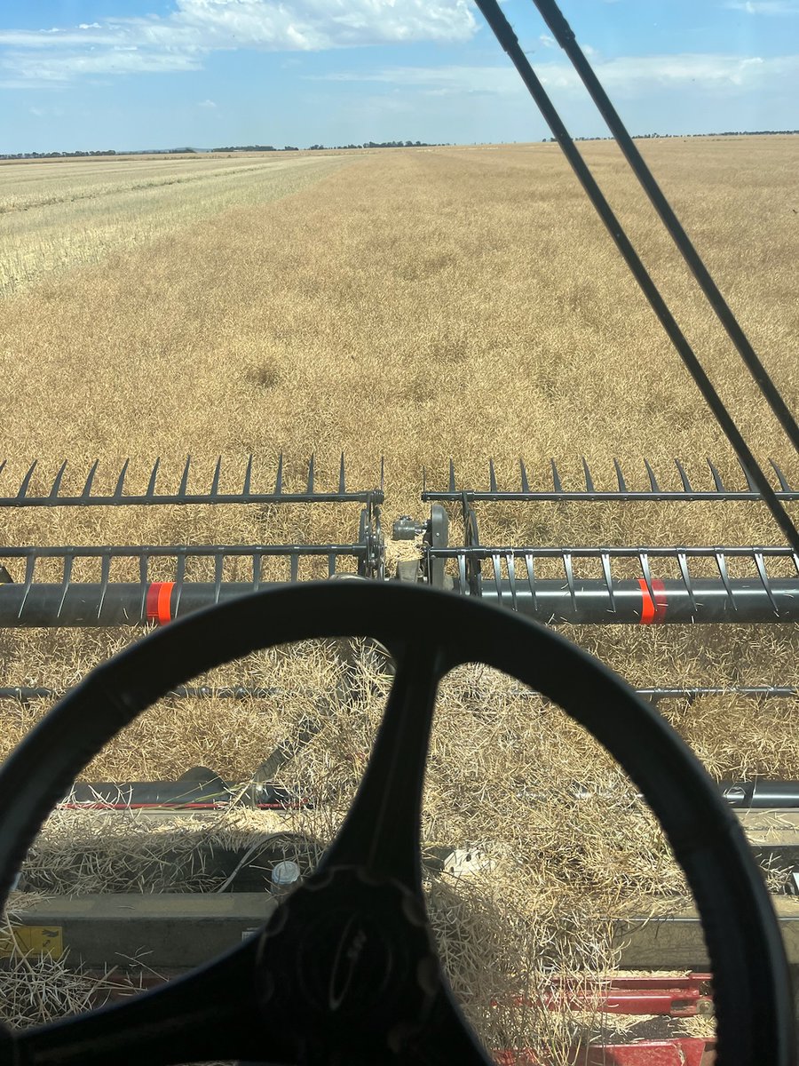 Warwick_Long's tweet photo. Country Hour listeners Angus, Bob, Peter and Rod all hard at it before forecast rain hits this week. 

The rain will threaten to put the breaks on a large harvest in Victoria. https://t.co/aW66BpU7QY