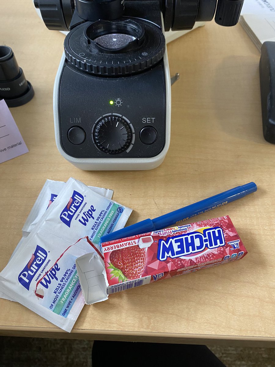 Michi Shinohara (@michi_shinohara) on Twitter photo Find yourself a resident to work with who supplies you with ALL of the needed supplies for a research project - dotting pen, alcohol wipes, and Hi-Chews 🤓 #PathTwitter #academia <a href="/UWLMPathRes/">UW Pathology Res and Fel</a> Find yourself a resident to work with who supplies you with ALL of the needed supplies for a research project - dotting pen, alcohol wipes, and Hi-Chews 🤓 #PathTwitter #academia <a href="/UWLMPathRes/">UW Pathology Res and Fel</a>